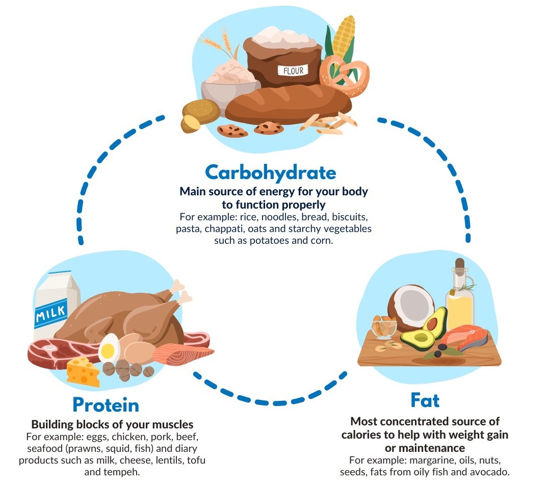 Food variety Infographic