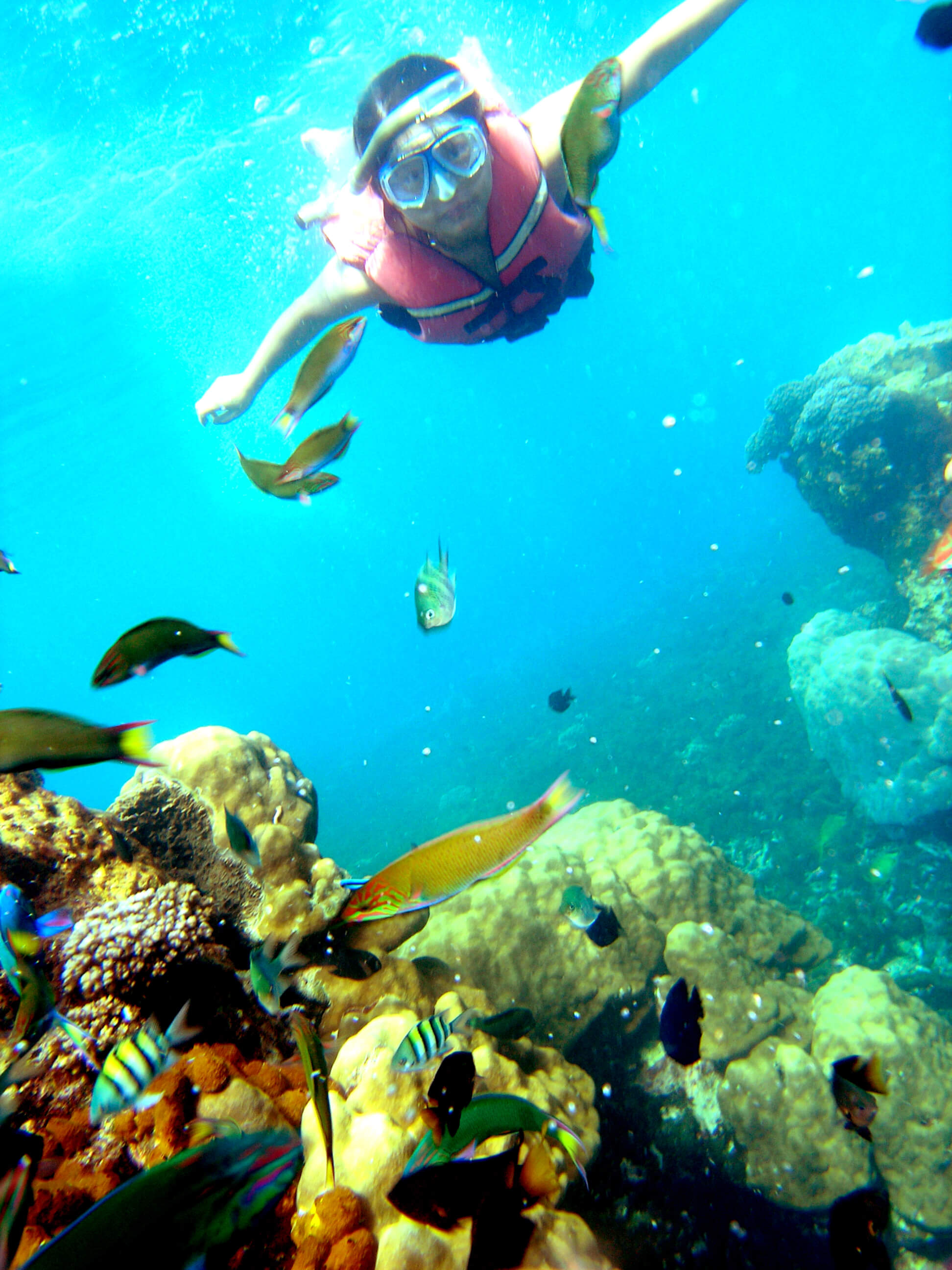 Joan snorkeling in Pulau Tengah