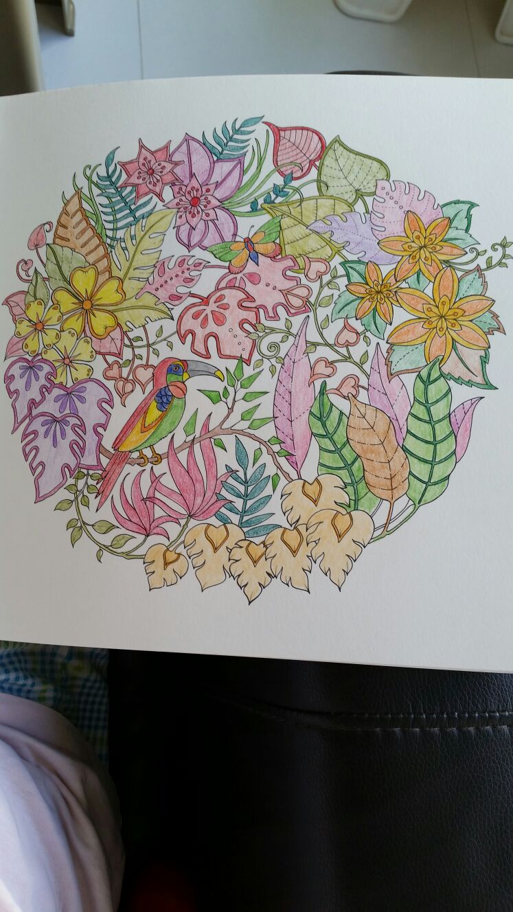 Newfound hobby - colouring